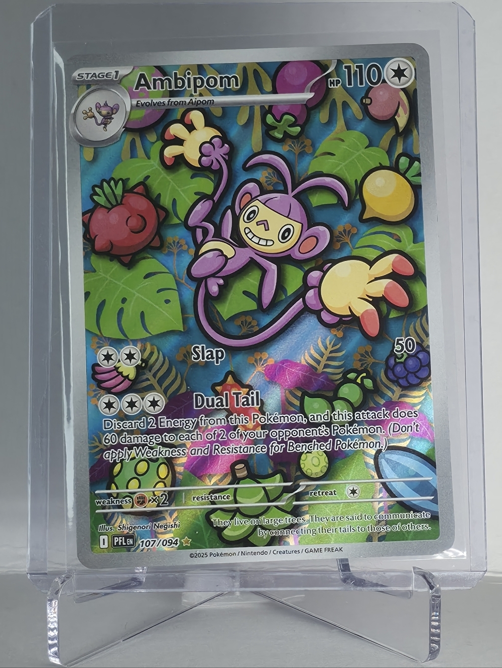 Pokémon TCG - Ambipom - Phantasmal Flames - Illustration Rare - 107/094